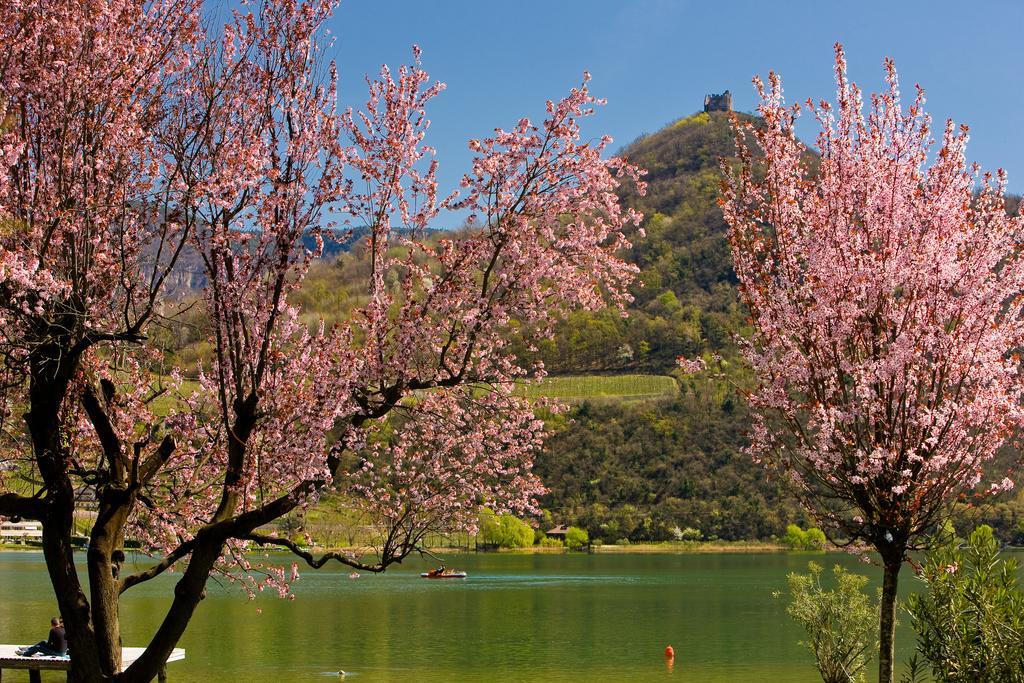 Seegarten Caldaro sulla Strada del Vino Exterior foto