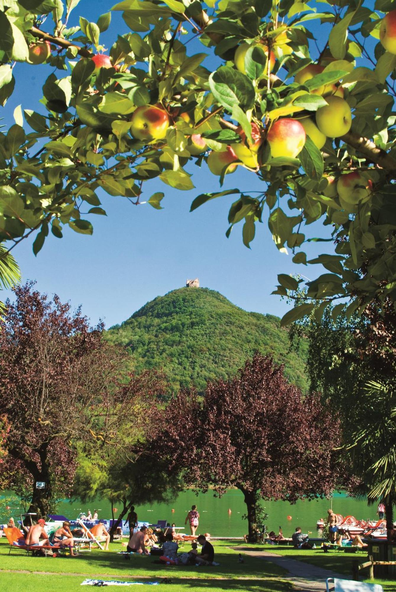 Seegarten Caldaro sulla Strada del Vino Exterior foto